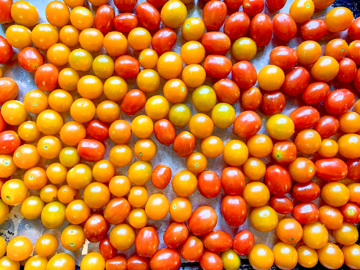 Eva’s Roasted Tomato Sauce