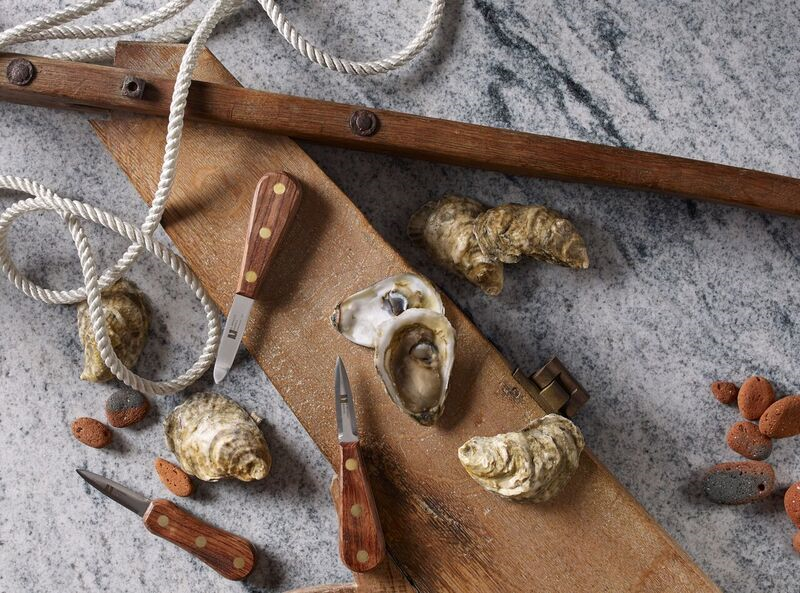 Fresh oysters with open shells, knives, and nautical rope on rustic wooden board